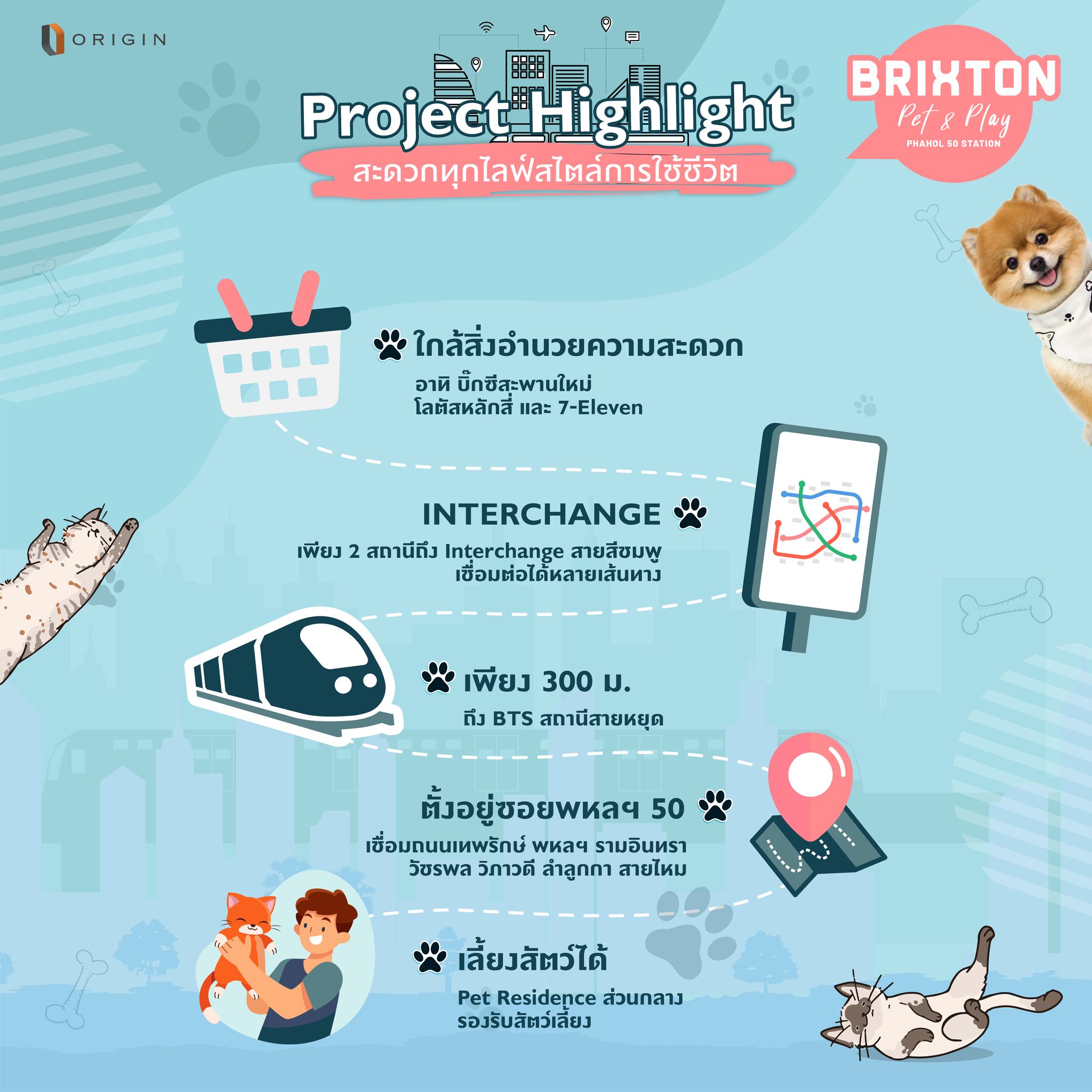 Brixton Pet & Play Phahol 50 Station คอนโดเลี้ยงสัตว์ แห่งเดียวบนพหลโยธิน พร้อมส่วนกลางเพื่อสัตว์เลี้ยง ใกล้ BTS สายหยุด