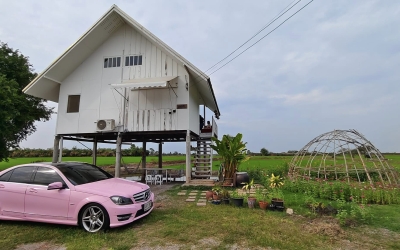 บ้านทุ่ง บางปลาม้า ที่พักสุพรรณบุรี สัตว์เลี้ยงเข้าพักได้ ธรรมชาติสุดๆ วิวทุ่งนา