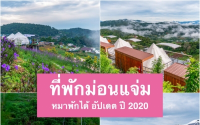 10 ที่พักม่อนแจ่ม หมาพักได้ อัปเดต ใหม่ๆ ปี 2024  ทั้งแบบกระโจม แบบบ้านพัก พาน้องหมาชมวิวภูเขา หมอกสวย นอนดูดาวรับลมหนาว