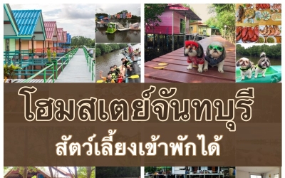 รวมโฮมสเตย์จันทบุรี สัตว์เลี้ยงเข้าพักได้ พาน้องหมาเที่ยวทะเล ตะลุยกินบุฟเฟ่ต์อาหารทะเล ปู กุ้ง ตัวโตๆ เติมไม่อั้น