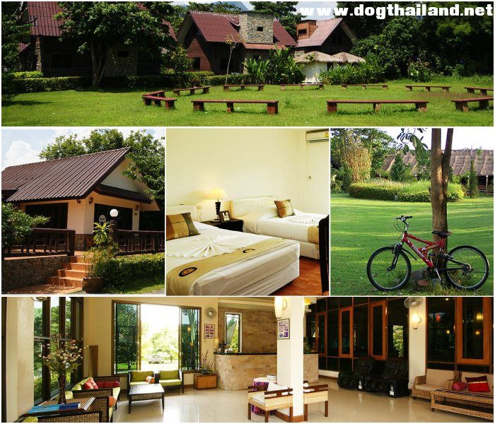 โฮมแอนด์ฮิลล์ รีสอร์ท (Home And Hill Resort) ที่พักนครนายก สุนัขพักได้ ใกล้ น้ำตกวังตะไคร้