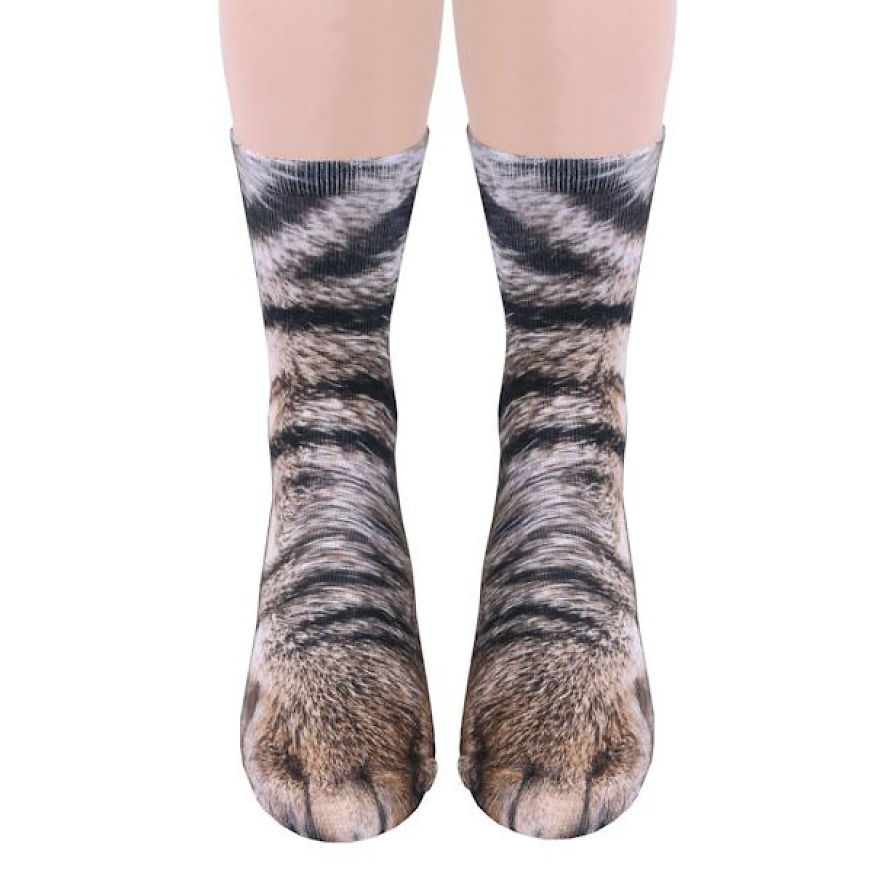 socks-animal-paws-4-593e8821e74d5__880.jpg