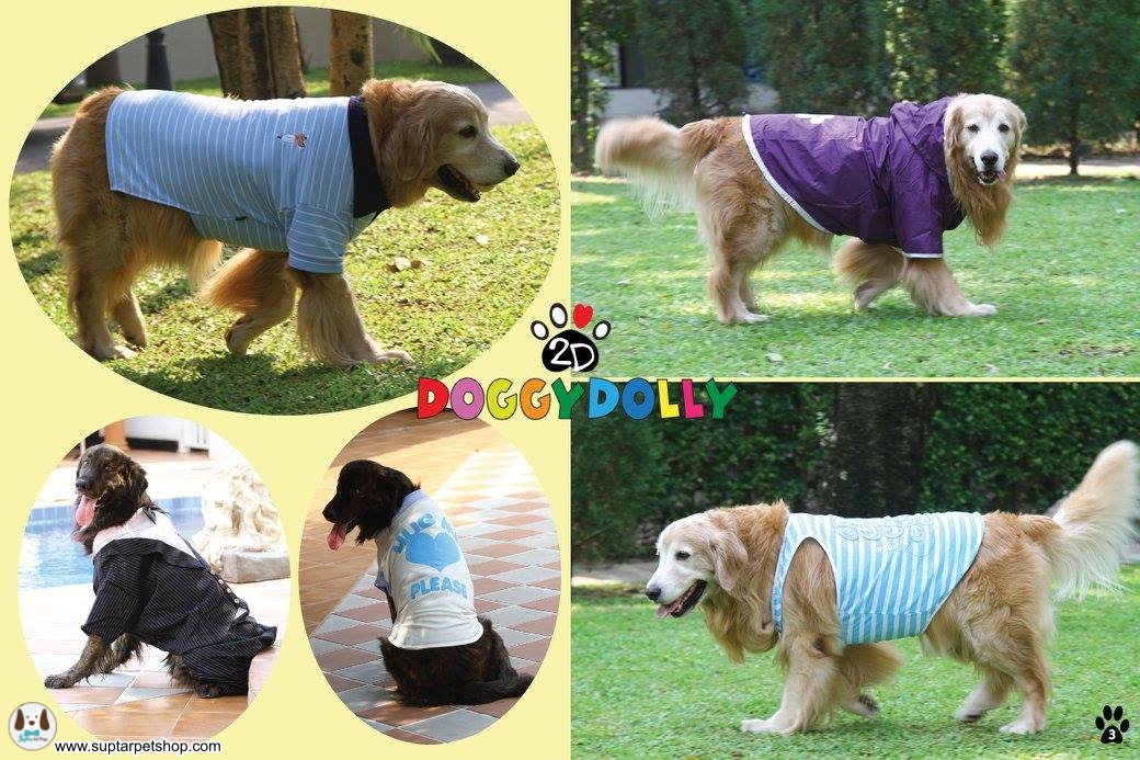 big-dog-clothes-01.jpg