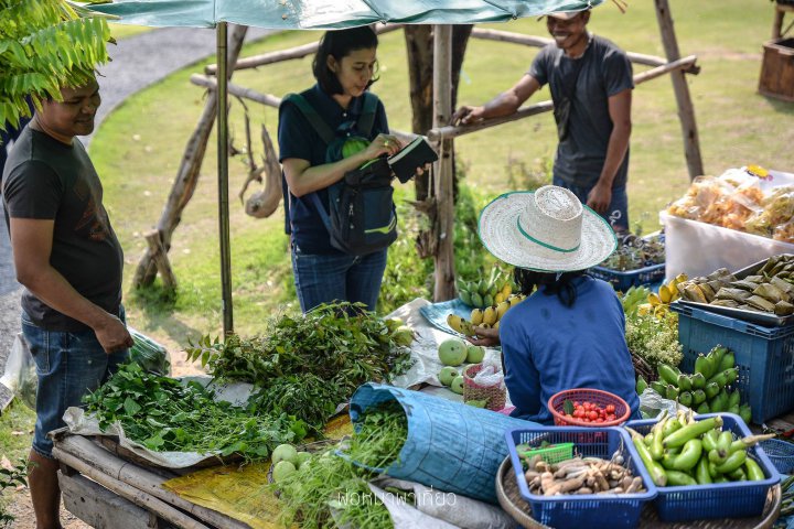 ร้านอาหารคาเฟ่นำสัตว์เลี้ยงเข้าได้นครนาย.jpg