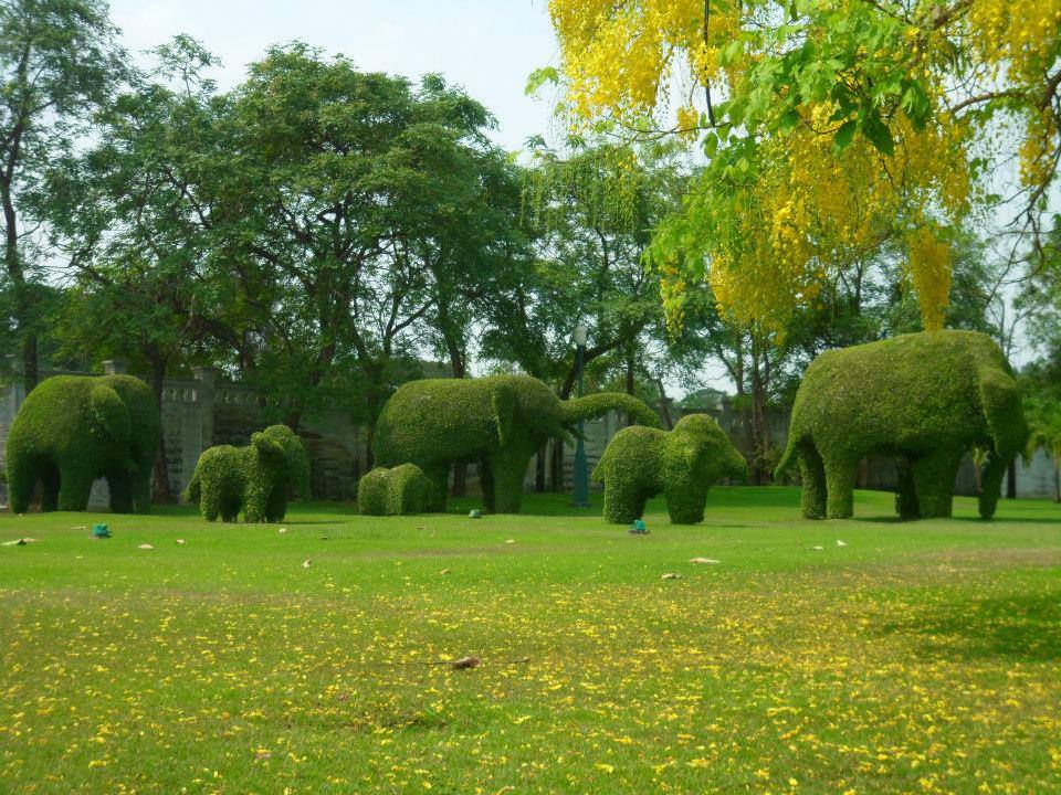 บ้านสวนอินทนนท์ ทุ่งดอกกระเจียวป่าหินงาม ที่พักชัยภูมิ สุนัขเข้าพักได้ 