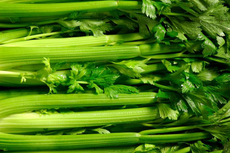 celery.jpg