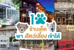 10 ร้านอาหาร ร้านกาแฟ สัตว์เลี้ยงเข้าได้ น้องหมาน้องแมว เข้าร้านได้ชิวๆ