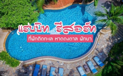 Rabbit Resort Pattaya ที่พักพัทยาติดทะเล หาดดงตาล-จอมเทียน พัทยา น้องหมาพักได้ พาหมาเที่ยวทะเลกัน