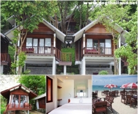 เกาะเสม็ด อ่าวไผ่ ระยอง ทับทิม รีสอร์ท (Tubtim Resort) สุนัขพักได้