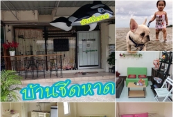 บ้านชิดหาด บางแสน พาหมาเที่ยวบางแสน Guest house ที่พักหลักร้อย หมาแมว ทุกสายพันธ์เข้าพักได้