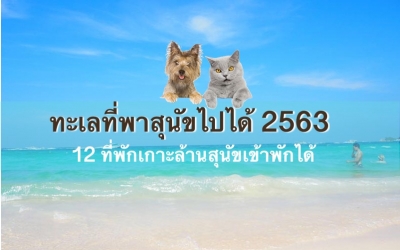 ทะเลที่พาสุนัขไปได้ 2563 อัพดท 12 ที่พักเกาะล้านสุนัขเข้าพักได้ บ้านพัก ติดทะเล สุนัขพักได้ เกาะล้าน