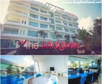 เดอะ แม็กโนเลียส์ พัทยา บูทิก รีสอร์ต (The Magnolias Pattaya Boutique Resort) รีสอร์ท สุนัขพักได้