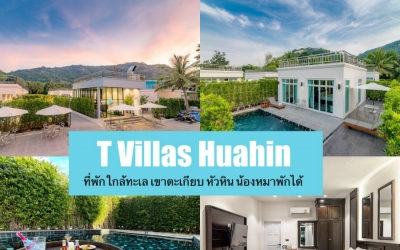 พาหมาเที่ยวทะเลหัวหิน T Villas Hua Hin Pool Villa ที่พักพูลวิลล่าหัวหิน ใกล้ทะเล หมาพักได้ เปิดใหม่แถบเขาเต่า มีอาหารลอยน้ำ ถ่ายรูปเกร๋ๆ