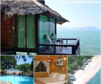 ซันเซ็ท วิลเลจ บีช รีสอร์ท (Sunset Village Beach Resort) บางเสร่ สัตหีบ ชลบุรี รีสอร์ทติดทะล สุนัขเข้าพักได้