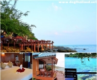 ต้องตา ผาวิว รีสอร์ท (Tongta Phaview Resort) เกาะเสม็ด อ่าวช่อ ระยอง สุนัขพักได้