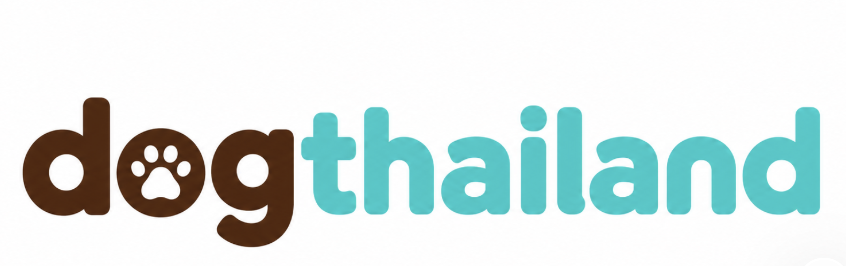 DogThailand | ที่พักหมาแมวพักได้ทั่วไทย รวมโรงแรมและรีสอร์ต Pet Friendly Thailand
