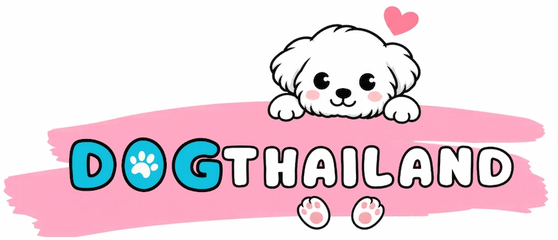 DogThailand | รวมที่พัก Pet Friendly หมาแมวพักได้ทั่วไทย