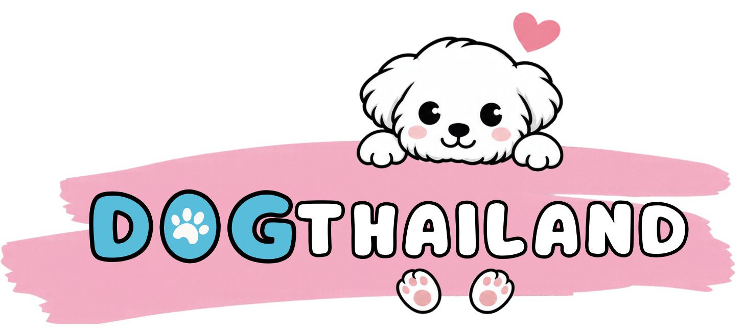 DogThailand | รวมที่พัก Pet Friendly หมาแมวพักได้ทั่วไทย