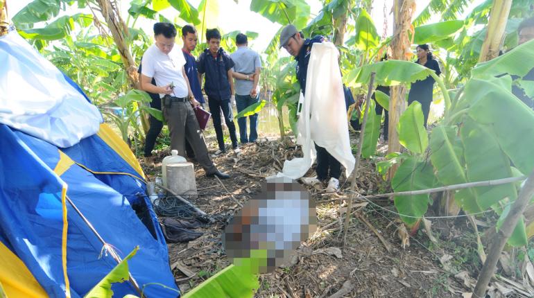 สุนัข 3 ตัวพยายามช่วยเจ้าของถูกไฟช็อต สุดท้ายตายหมู่ น่าเศร้าใจมาก