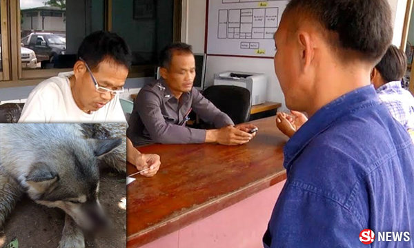 ผู้ใหญ่ดำ รับทราบข้อหา ชาวบ้านช่วยปกป้อง ยืนยันเป็นคนดี-รักสัตว์ ซาก "เจ้าโจโก้"