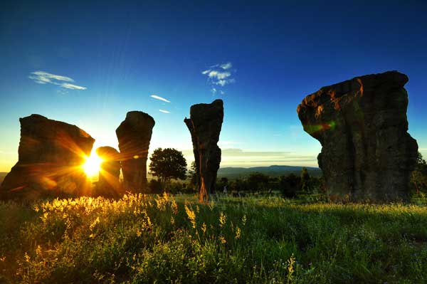 ชัยภูมิ หมาพักได้