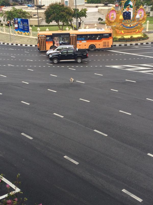 หมากรุงเทพในวันหยุดยาว นอนชิวๆบนถนน คนแห่แชร์ ชิลมากนะ ระวังด้วย