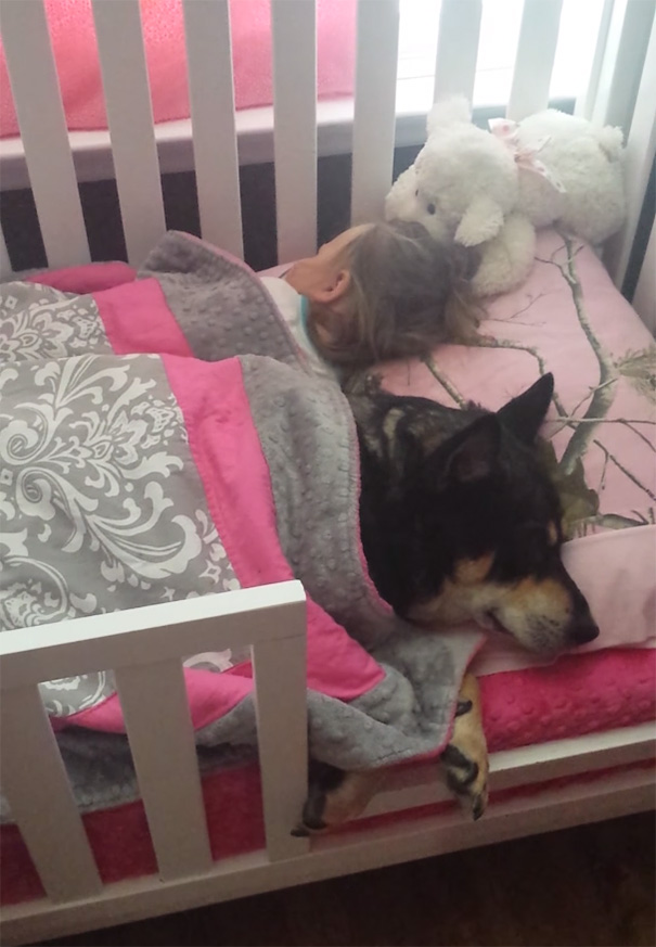 rescued-dog-sleeping-baby-girl-crib-15.jpg