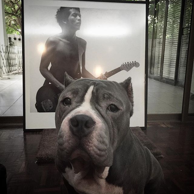 พี่ชาย สิงห์ Sqweez Animal เผยภาพ ตุ้งแช่ ถ่ายรูปกับเจ้านายครั้งสุดท้าย