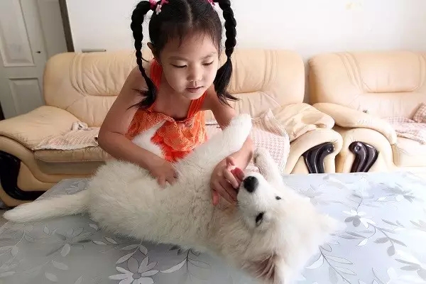 แชร์กันว่อน ทึ่งเด็ก 5 ขวบโชว์ทักษะสะกดสัตว์ เหมือนกับมีพลังวิเศษ