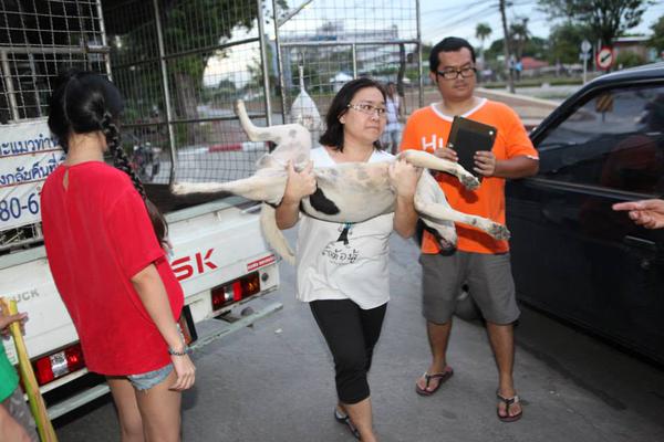 ศูนย์ข่าวชุมชน ม.เกษตรศาสตร์ โพสต์ภาพการจับสุนัข โดยกลุ่มคนรักหมา เตรียมจัด BikeForMom