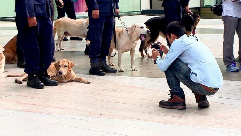 พักแป๊บนะฮับ ภาพสุนัข ตร.ปฏิบัติงานเข้มตรวจระเบิดแหล่งชุมชน (คลิป)