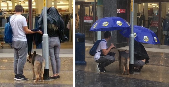 น่ารักประทับใจ เมื่อคู่รักกางร่มบังฝนให้สุนัข ระหว่างรอเจ้านายเลือกซื้อของ