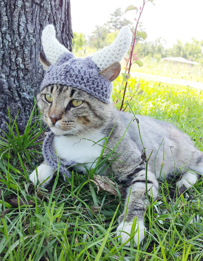 crochet-handmade-hats-pets-iheartneedlework-1__700.jpg