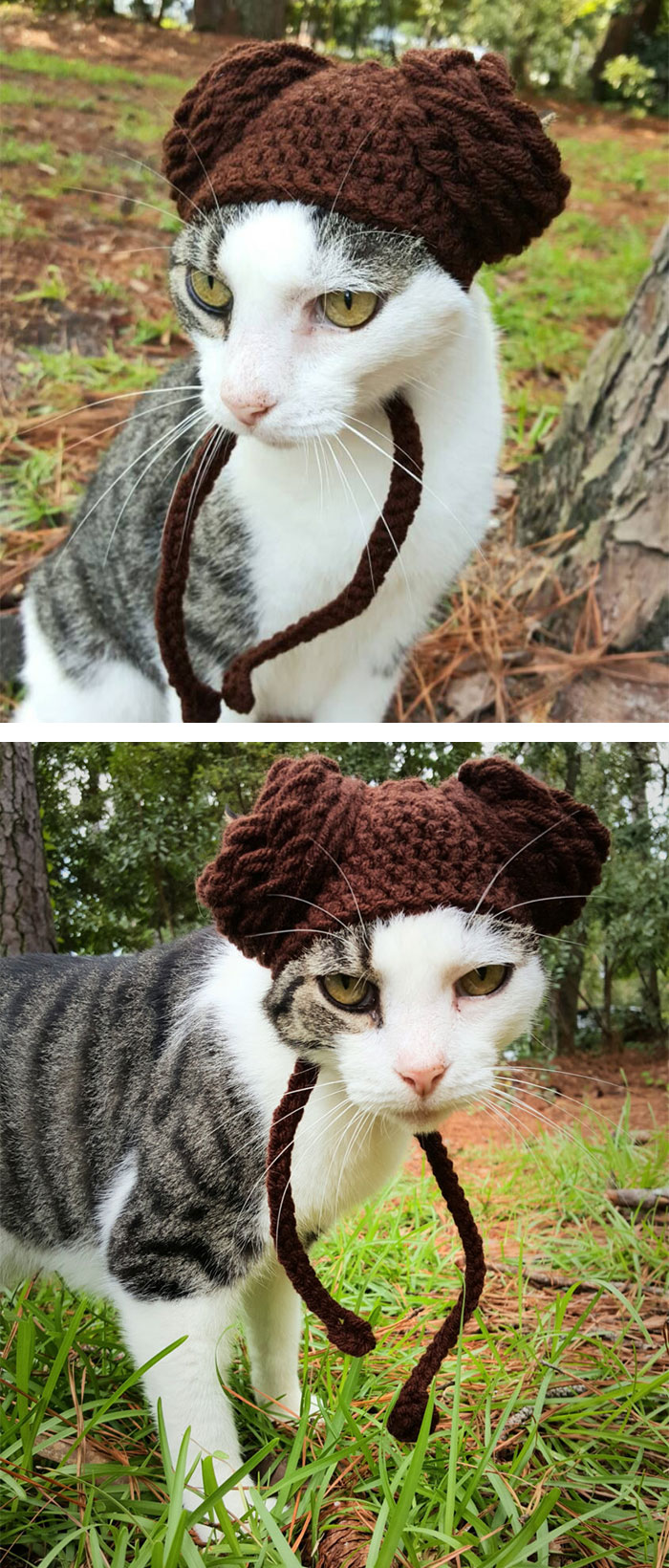 crochet-handmade-hats-pets-iheartneedlework-3__700.jpg
