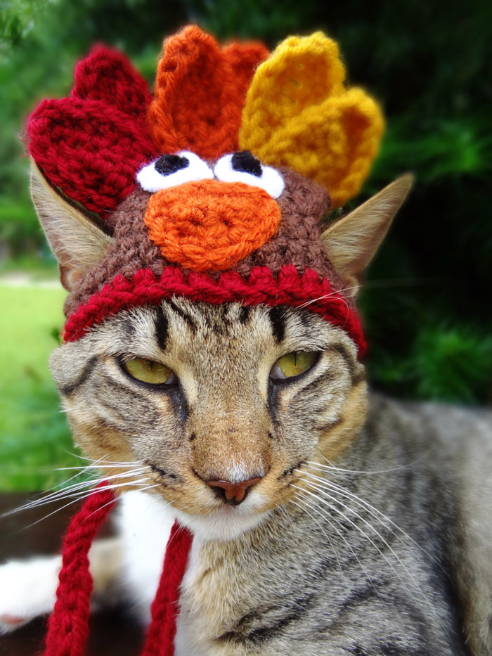 crochet-handmade-hats-pets-iheartneedlework-8__700.jpg