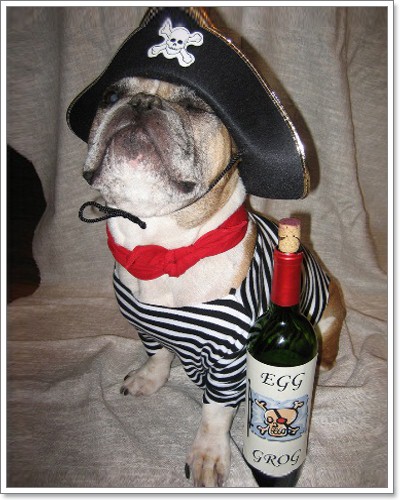 โจรสลัด ตำรวจ โหดจิงเร๊อ คอสเพย์สุนัข แนวๆ