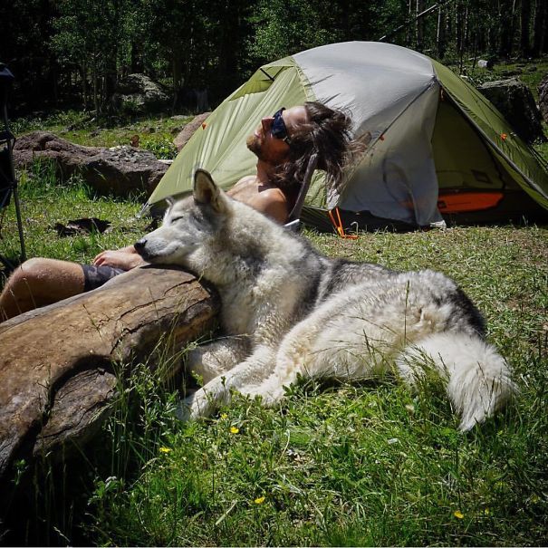 camping-with-dog-ryan-carter-1__605.jpg