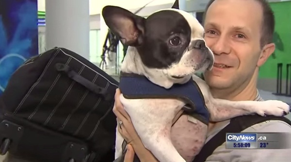 นักบินฮีโร่เอาเครื่องบินลงจอดช่วยชีวิตน้องหมา เหตุฮีทเตอร์ในห้องเก็บสัมภาระไม่ทำงาน