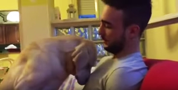 คลิปน้องหมาง้อขอโทษเจ้าของสุดฤทธิ์ หลังทำผิดแล้วโดนดุ ไม่อยากให้เจ้านายโกธรนาน