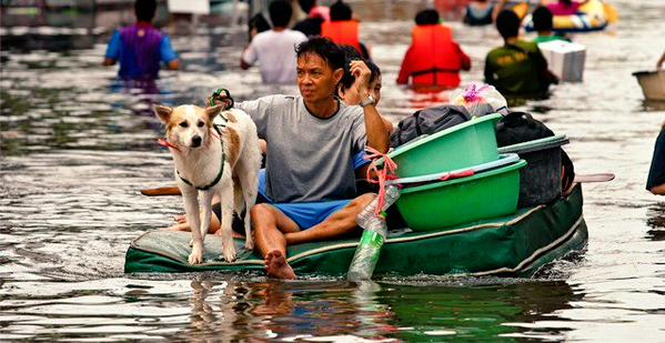 น้ำท่วมพัทยา ระยอง ท่วมหนักแค่ไหน เราก็จะไม่ทิ้งกัน น้องหมากับเจ้าของลุยน้ำ สุดยอด