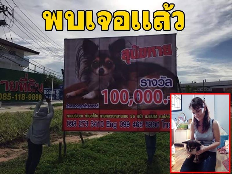 ฮือฮา เจ้าของสุนัขหายตั้งรางวัล 1 แสนบาท ตอนนี้เจอตัวแล้ว คนส่งคืนไม่ขอรับเงิน สุดยอด