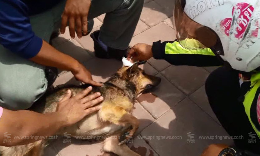 สุดยอด พ่อค้าอุบลฯโดดคลองช่วย “สุนัข” ลอยคอนาน 2 ชม.จนรอดชีวิต