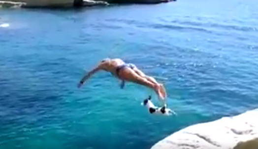 เมื่อคู่หู เจ้านายน้องหมา ชอบโดดน้ำที่ริมหน้าผา ในทะเลได้อย่างชิวๆ