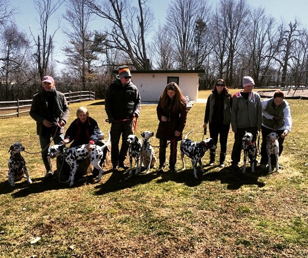 เจ้าของทิ้งสุนัขเหตุดื้อไม่เชื่อฟัง ที่แท้หูหนวกกำลังถูกฆ่า คนดีใจดีช่วยไว้ทันเพราะ