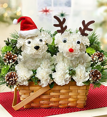santa-paws-flowers.jpg