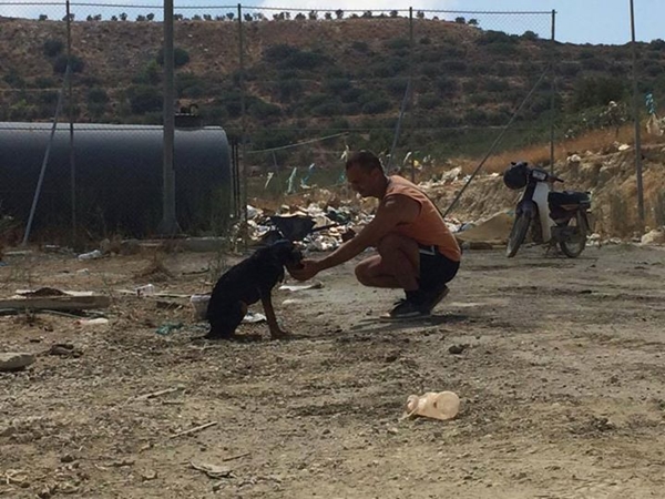 หมอฟันชาวกรีซ ตัดสินใจลาออกจากงาน ขายรถ ละทิ้งความสบาย มาช่วยเหลือสุนัขที่ถูกทิ้ง