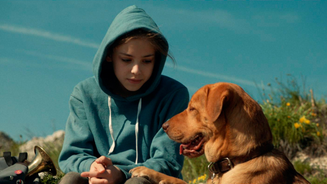 White God มะหมากบฏ เมื่อฝูงสุนัข เอาคืนเหล่ามนุษย์ อะไรจะเกิดขึ้น?