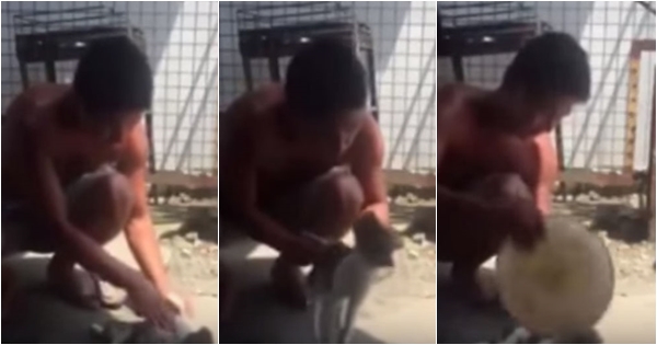 สุดยอด หนุ่มใจดีทำ CPR ช่วยลูกหมาไร้ลมหายใจ จนฟื้นจากความตายมาได้