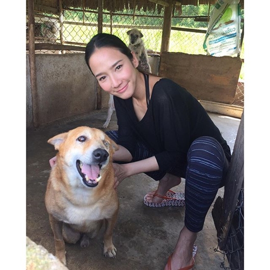 อั้ม พัชราภา นางฟ้าใจดีของน้องหมา หมั่นเยี่ยม เจ้าเมฆ น้องหมาพลัดหลงสม่ำเสมอ น่ารัก