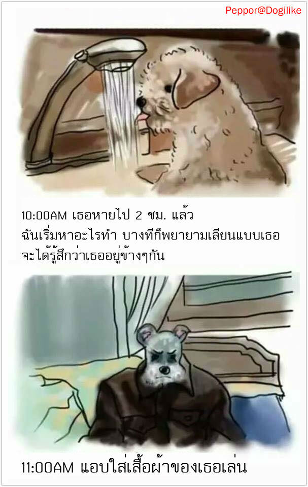 1 วันของน้องหมา นานนะรู้ไหม